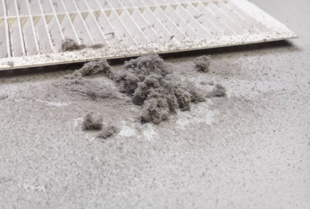 Best Commercial Air Duct Cleaning  in Des Allemands, LA