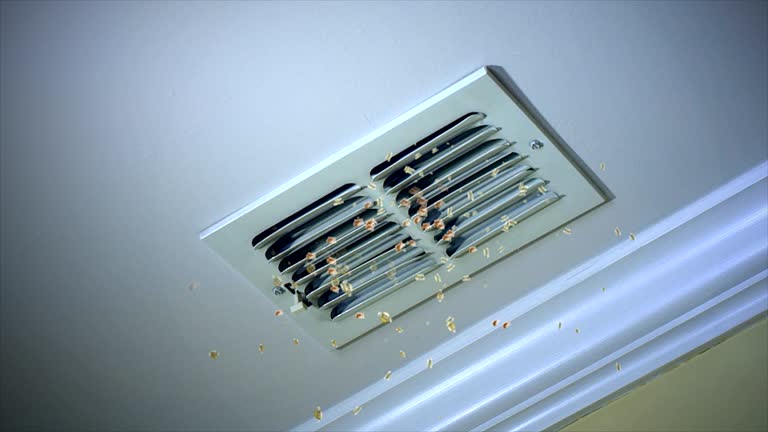 Best Air Duct Cleaning Near Me  in Des Allemands, LA