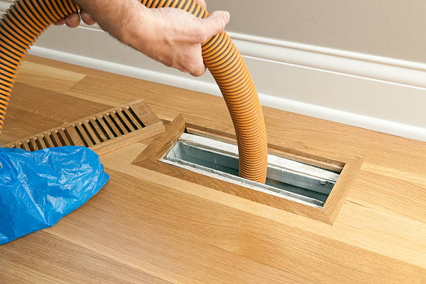 Best Local Air Duct Cleaning Services  in Des Allemands, LA